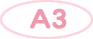 A3