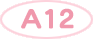 A12