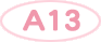 A13