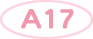 A17